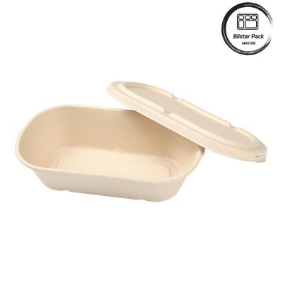 China Take Away Lunch Recyclable Food Containers Biodegradable Sugarcane Bagasse for sale