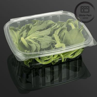 China Contenedor rectangular de ensalada de plástico transparente con bisagras Solución de embalaje de alimentos conveniente en venta