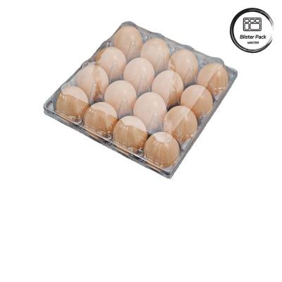 China 20/24/30 Cell PET Clear Plastic Egg Blister Tray Disposable Quail Chicken Egg Packaging with Lid for sale