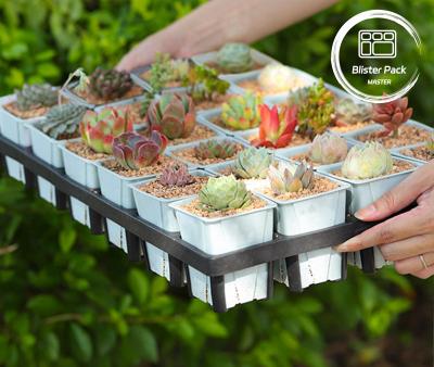 China Durable Plastic Planter Tray 24 Hole Succulent Nursery Pot Cultivation Tray for Garden for sale