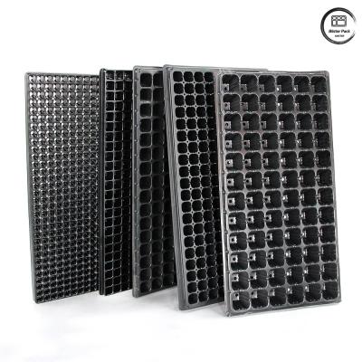 China Durable Plug Seed Trays for Plant Propagation, 28/32/50/72/105/128/200/288 Cell Nursery Seedling Trays for sale