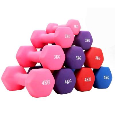 China Universal Customized High Quality Cheap Free Weightlifting Vinyl Dumbbell for sale