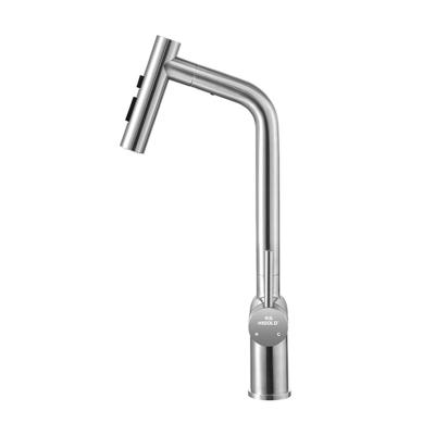 China Pull Out Spray Quality Guarantee 304 Stainless Steel Kitchen Faucet Polished Plating Faucet for sale