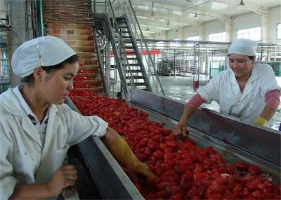 Cina 3000L / La H gira la linea di produzione arancio chiave del succo di mele controllo automatico in vendita