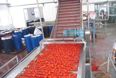 China Equipo de proceso del zumo de fruta de la naranja y del mango para el vidrio 500-1000ml en botella en venta