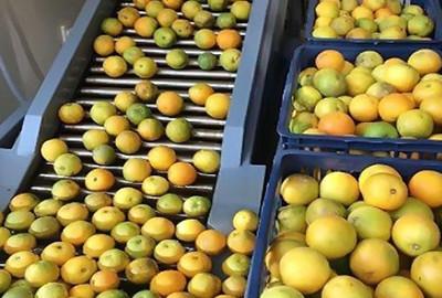 China 3 van de de Fruitverwerkingslijn van TPH het Volledige Oranje Apple Gebottelde Kant en klare Project Te koop