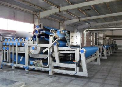 China Vegetable and Fresh Fruits Washing Processing Machine For Juice Production Plant for sale