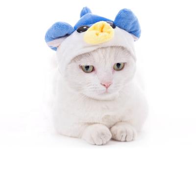 China Hot Selling Multiple Soft Stocked and Cute Pet Cat Headgear Cartoon Style Plush Cat Headgear Cat Cosplay Hat for sale