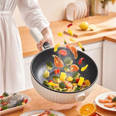 China New Household Design 4L Single Pot Multi Functional Electric Hot Cooking Pan For Kitchen Household for sale