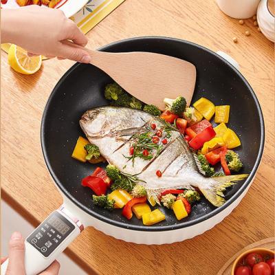 China 2022 Household Modern Electric Multifunctional Mini Cooking Pan Frying Pan Non-stick Ceramic Coating Cooking Hot Pot for sale