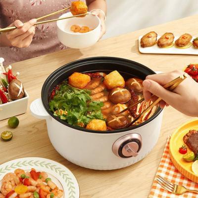 China Household Pot Soup Shabu Mini Hot Pot Electric Hot Pot Universal Electric Cooking Pot for sale