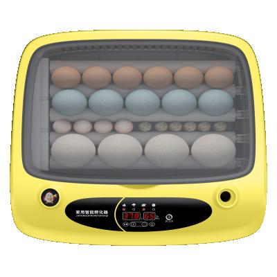 China Fully Automatic Farms Chick 24 Capacity Mini Egg Incubator for sale