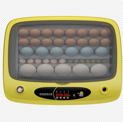 China Farms School House Use 36 Egg Capacity Chick Incubator for sale