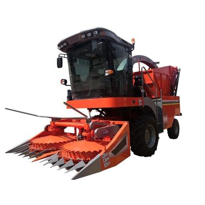 China High Production Self-Propelled Corn Forage Harvester For Stalk Crops for sale