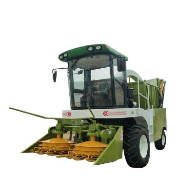 China 2200mm high self propelled small maize production forage harvester maize silage forage harvester for stalk crops for sale