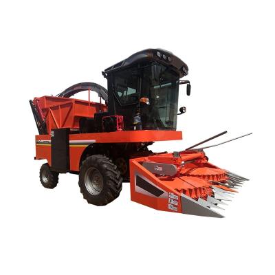 China Self Propelled Corn Silage Cotton Harvester 2650mm Cutting Width Automation Forage Harvester for sale