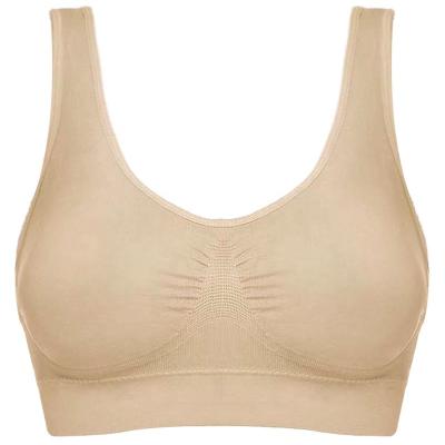 China Seamless Sports Wire Free Plus Sizes Seamless Yoga Adjustable Ladies Sports Bra for sale