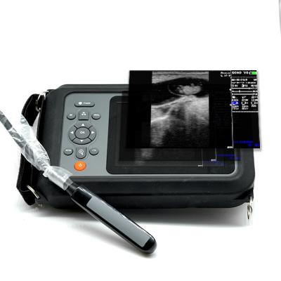 China GYN Farm Scanning Ultrasound Medical Instruments For Veterenary Ecgrafo Para Ovejas Rectal for sale