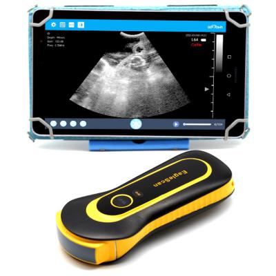 China Portable High Resolution Ultrasound For Sheep Portable Ultrasonido Wifi Ultrasound Scanner for sale