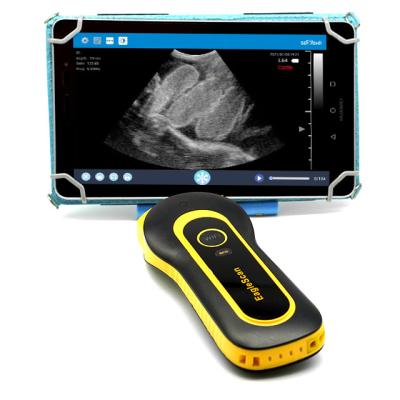 China Plant Ecografo Animales Vetnary High Resolution Animal Ultrasound IEM Ultrasound for sale