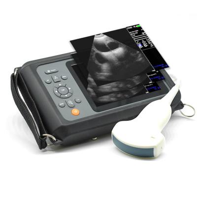 China Portable Animal Ultrasound Portable Ultrasound Scanner High Resolution Ruminants Scanning for sale