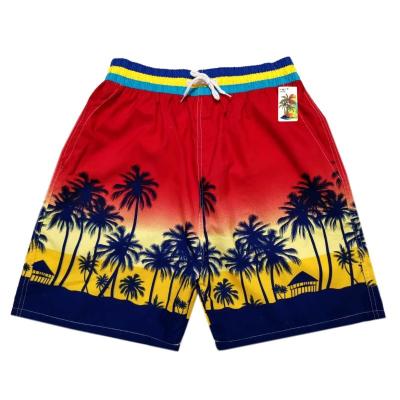 China Anti-wrinkle Hotselling Wholesale Digital Printing Fleece Shorts Men for sale