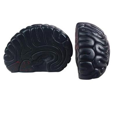 China Resin jinhuoba bookends, Brain Decor Bookend Supports for heavy books, home decor suitable for office, for sale