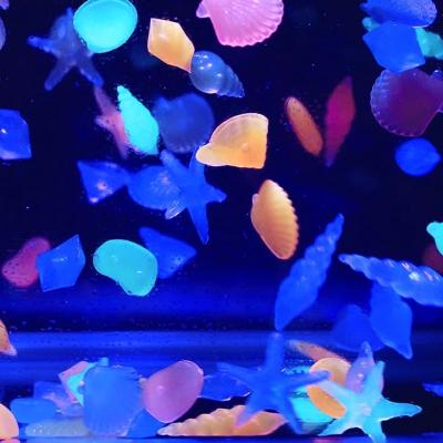 China Seashells Viable Decorative Stone Luminous Sea Starfish Aquarium Solar Glow Stone Glow Aquariums Decoration Marine Life for sale