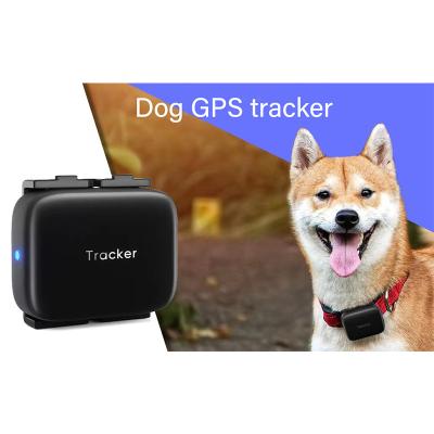 China ABS Insulating Plastic Pet Dog Tracker Mini Anti Lost Smart Waterproof Cat GPS Pet Collar Real Time Tracking for sale