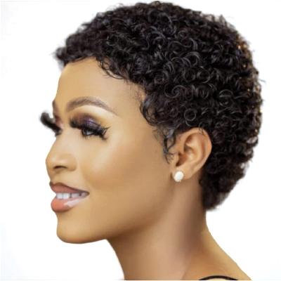 China European and American adult of the other African style short curly wig small curly hair 3 inch wig for sale