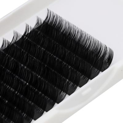 China Super Flexible Eyelash Extension Single Loop Bunch Grafted False Eyelash Extension DIY Pre-Cut Dense Lashes for sale