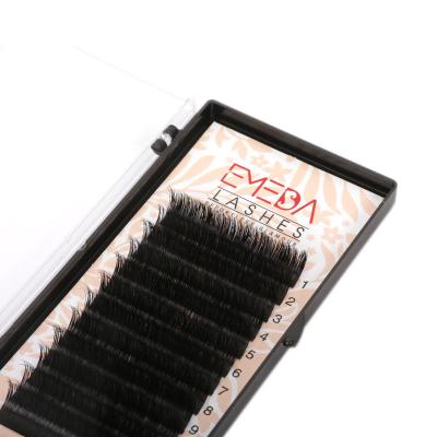 China CD Mink Hair Row Super Soft Flexible Super Dense Pure Dense Eyelash CD False Eyelashes for sale