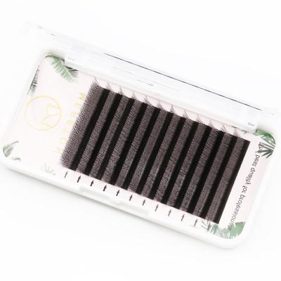 China New Super Flexible Grafted Lashes 0.07 Soft Mesh Clovers Fake Lashes Braided Natural Lashes for sale