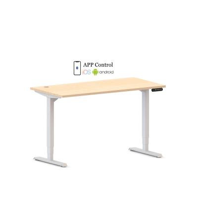 China Dual Motor Electric Standing Computer Desk (Height) Adjustable Physical Channels Table for Home and Office for sale