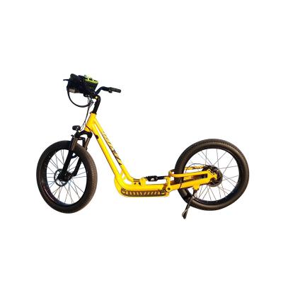 China 2021 24 Inch Fat Tire Escooter 30-50km/h Unisex Fast Outdoor Electric Scooters for sale