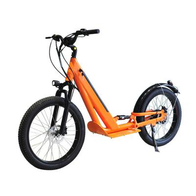 China Powerful 2 Wheel Unisex 24 Inch Mountain Adult Outdoor Snow Electric Scooters for sale