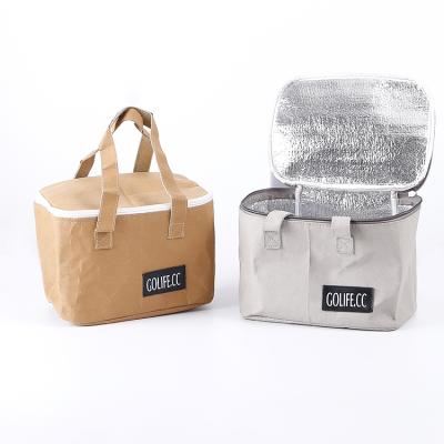 China Various Good Quality Washable Cooler Paper Tote Lunch Bags Insulated Thermal Lunch Bags For School Kids for sale