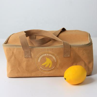 China Eco Friendly Washable Cheap Insulated Kraft Paper Bag Fruit Package Cooler Box for sale