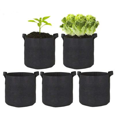 China 1 1.5 2 3 5 7 10 15 Gallon Breathable Polyester Felt Portable Wide Application Black Nonwoven With Handle Grow Bags for sale