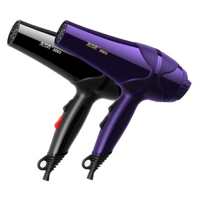 China Powerful Foldable Barber Salon Electrical Tool Home Appliance Hair Dryer Blow Dryer With Adjustment Dryers Speed ​​For Hairdressing Styling for sale