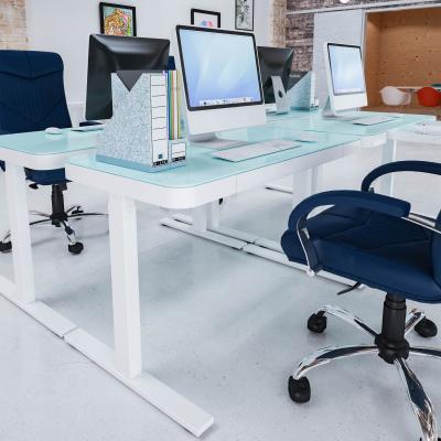 China Factory Price (Size) Height Adjustable Office Furniture Desk Position Customize Executive Adjustable Desk for sale