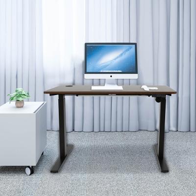 China (Size) Popular Adjustable Electric Standing Desk Motorized Lift Tables Sit to Stand Desk for Office for sale