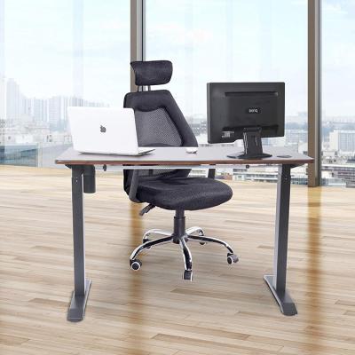 China Adjustable (Height) Custom Design Electric Height Adjustable Furniture Lift Table Stand Height Standing Office Desk for sale