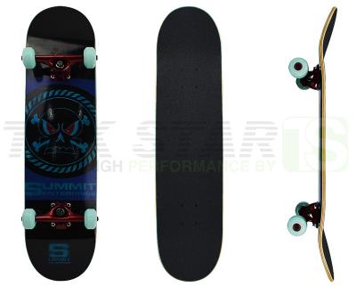 China Adult Customize Complete Maple Skateboards Made From 7ply Of Canadian Maple, Tak Star Skateboards for sale