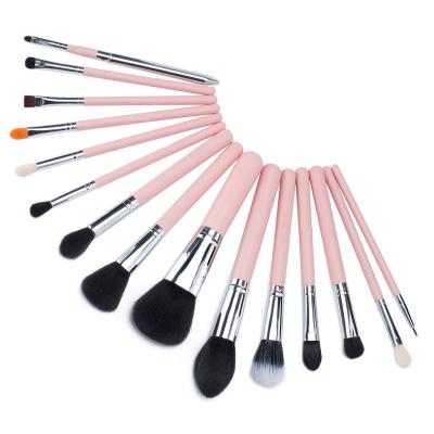 China Angular blush cosmetics for women beauty creation princess personal care makeup set brush for sale