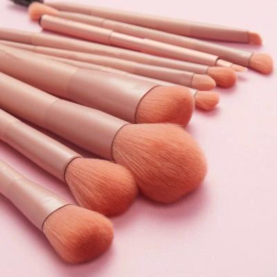 China Angular Blush New Winter Color Series 9pcs Hot Private Label High Quality Apricot Professional Beauty Makeup Brush Set for sale