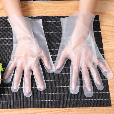 China Clinics; Pharmacy ; catering services; Beauty salon ; Plastic Glove Plastic Food Gas Station Pe Disposal Glove Plastic Glove Suitable For Kitchen Food Handling for sale