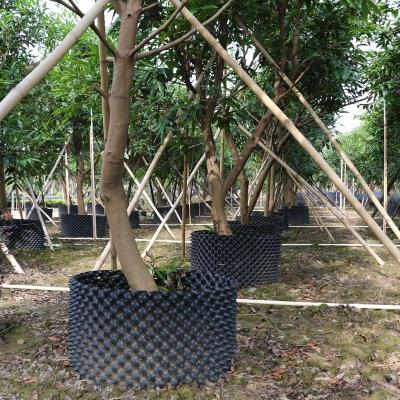 China Factory Price Eco - Friendly Wholesale Garden Supplies Garden Air Pruning Pots for sale