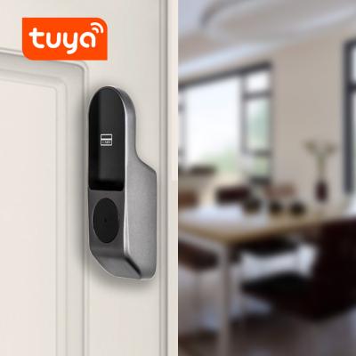 China Tuya Electronic Lock Biometric Fingerprint Smart Fingerprint Deadbolt Door Lock < =100 for sale