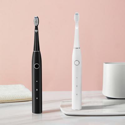 China ABS+PC+POM 18650 Li-ion Electric Toothbrush Battery Operated Ultrasonic Electric Toothbrush For Travel for sale